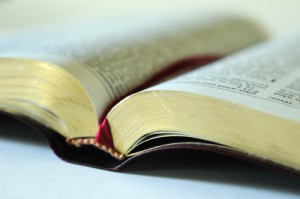 Holy Bible Mormon